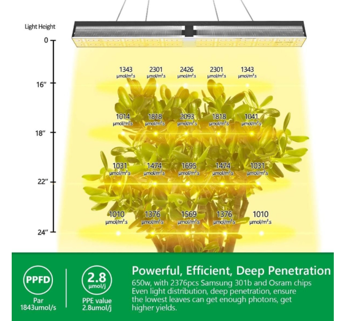 Mars Hydro SP 6500 Samsung LM301B 650W