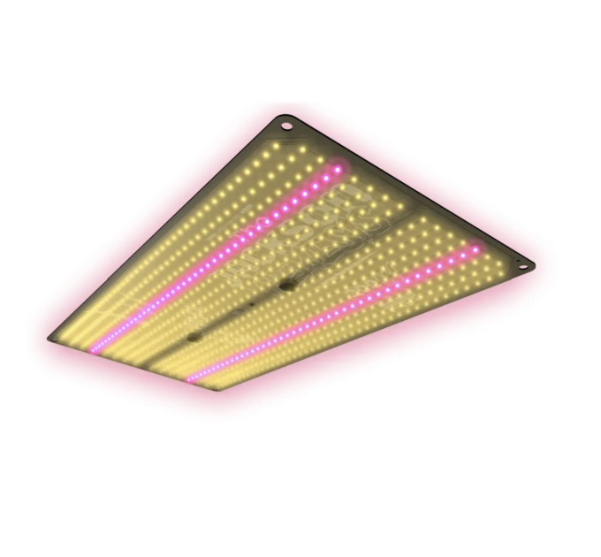  LED лампа THE JACKSON NEMESIS 200W, the Jungle (bluetooth димінг)