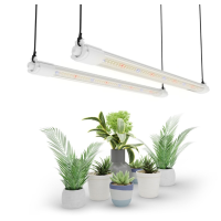 Світлодіодний світильник VG40 40W T5 60см для вирощування розсади та вегетації кімнатних рослин