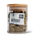 Регулятор влажности Integra Boost 55% (67g)