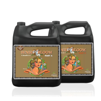 Advanced Nutrients Sensi Bloom Coco A&B (1L)