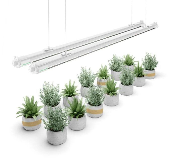 Світильник для розсади Mars Hydro VG80