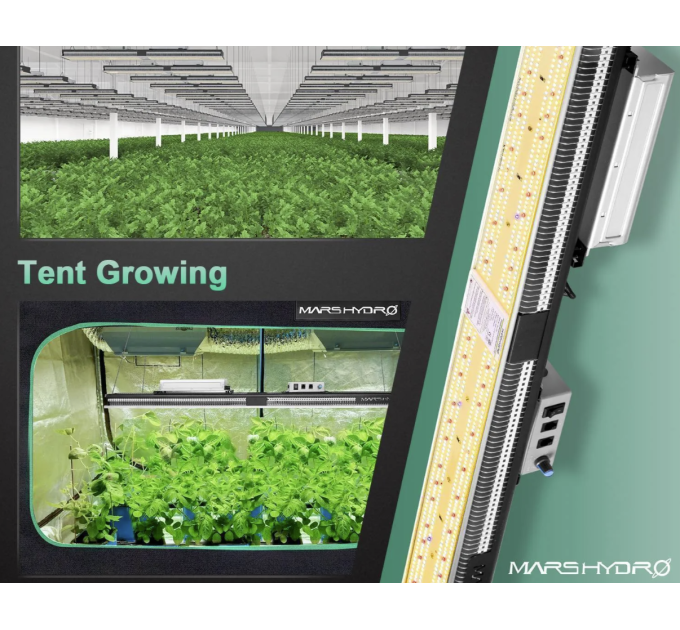 LED Mars Hydro SP 6500 650w Cover